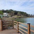 카페아른 이미지