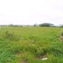 대정읍사무소 이미지