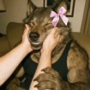 자연의원 이미지