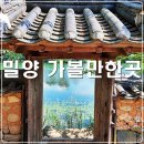 (9/22)오색 꽃송편 만들기 | 밀양 가볼만한곳 위양지 이팝나무 영남루 퇴로 고가마을 아리랑축제 시장 밀양 여행