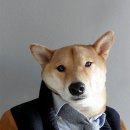 개간지