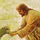 에베소서 4장 주석, 2026년 6월 26일, Commentary on Ephesians 4