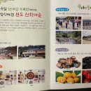 완도 신학마을 네이버블로그