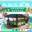 (주)금강케어 이미지