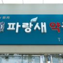 파랑새약국 이미지