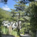 비클래시B | 비클래시 키즈풀빌라 덕현점 B타입 :: 성수기 내돈내산 후기