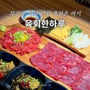 육회한하루 - 남구 고동골로 29 | 울산 무거동 맛집 육회한하루 울대 바보사거리 차돌사시미 회식 모임 술집