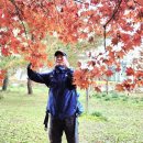 햇살 가득한 선운사 단풍에 흠뻑 취하다(선운사 입구에서 참당암까지) 이미지