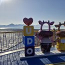 어울림의 아름다움 레인보우교를 건너다! - 고흥 우도 레인보우교 건너 작은산 넘어 섬 한바퀴, 그리고 남양면의 산들~ 이미지