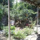 개군면사무소 이미지