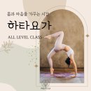 하타요가 기초(All Level) | 의정부 요가 쁘램요가) 🌿 하타요가, 올레벨(All Level) 수업으로 누구나 함께하는 시간