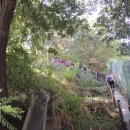 청량산 임도2 이미지