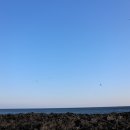 우리두리게스트하우스 이미지