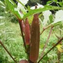 광지의원 이미지