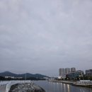 좌수영헬스 이미지