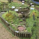 청전대로9길 이미지