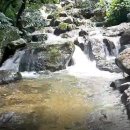 엘린공인중개사사무소 이미지