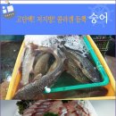 바다나라 이미지