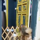 주주동물종합병원 이미지