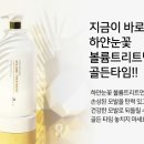 장뜨아보떼 헤어 이미지