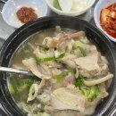 우진플러스 | [의정부 버드나무순대국] 우진순대국 vs 버드나무순대국 과연???