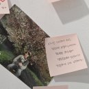 성진네 | 260116 데이식스 성진 생카 후기 🐻🤎