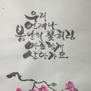 봄날의꽃