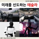 대한경제투자 | 테슬라 주가에 대한 생각, 매수해도 괜찮을까?(투자 후기)