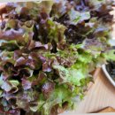 명성추어탕 이미지