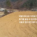 홍천토지부동산중개사무소 이미지