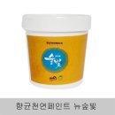 페인트스토어 이미지