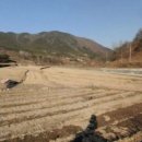 대매농장 이미지