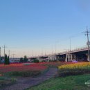 화명생태공원(화명운동장 내) | 부산 화명생태공원 튤립 정원 임시주차장 정보