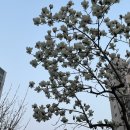 (주)스튜디오매크로그래프 | 체형이 군살만 쏙 감량 성공! >.< 대구 다이어트병원 복부 , 팔뚝 지방분해주사 하프컷 주사 5회차 후기