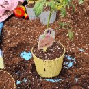 진목어린이집 이미지