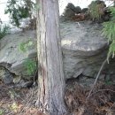 상예동-4 이미지