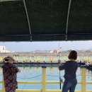 제주 낚시 체험 낚고락고 신흥바다낚시공원 후기