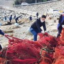 욕지면사무소 이미지