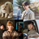 사랑스럽개 이미지