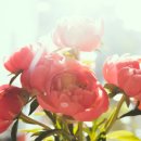 소요산약국 이미지