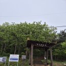 6월19일(목)대부해솔길1코스-구봉도숲길 이미지