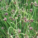 (주)삼동 이미지