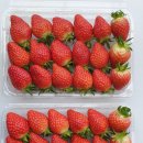 해랑농장 이미지