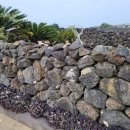 메종드제주 이미지