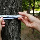 행신5호(행신 어린이공원) 이미지