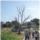 지산2리마을회관 이미지