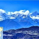 송이만찬 이미지