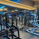 더 세이짐 이미지