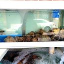 금산바다횟집 이미지