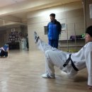 내체력 태권도장 이미지